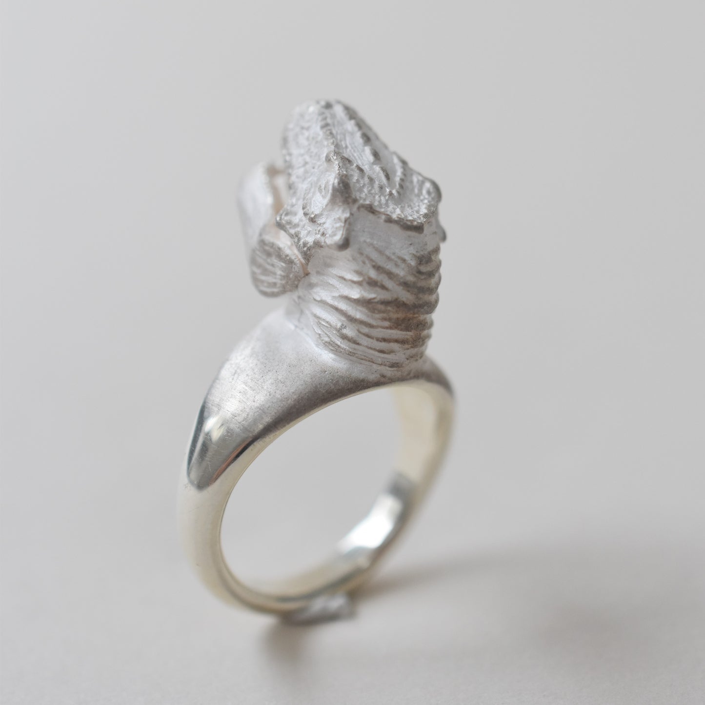 ring tyrannosaurs face