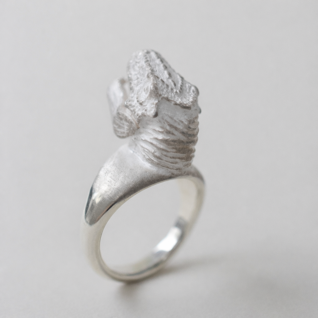 ring tyrannosaurs face