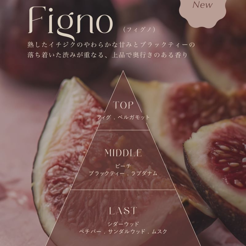 Reed diffuser - Figno(フィグノ)