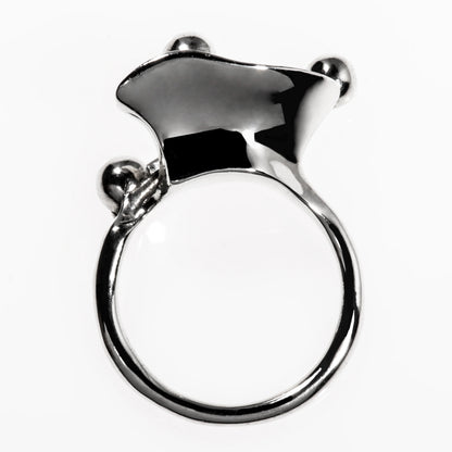 Flux Ring