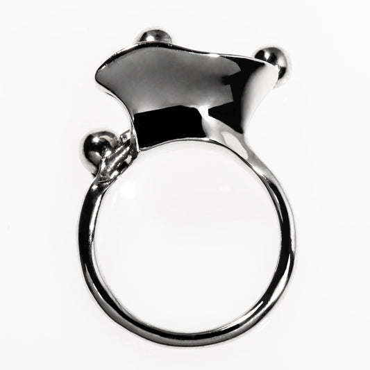 Flux Ring