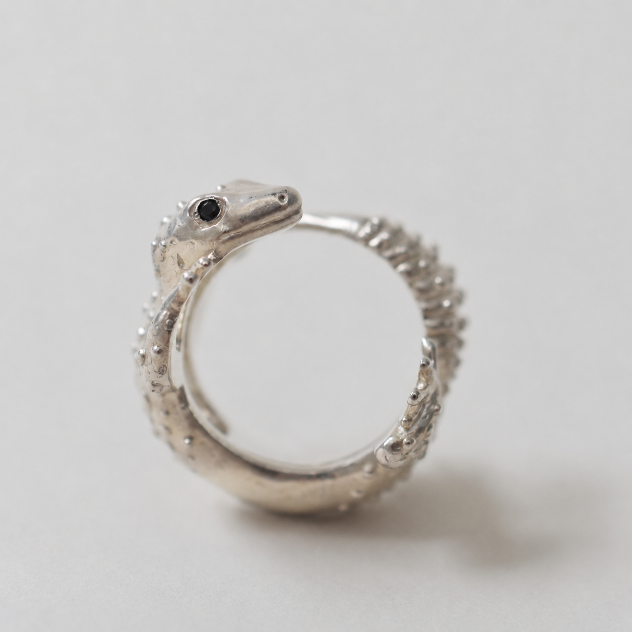 ring lizard