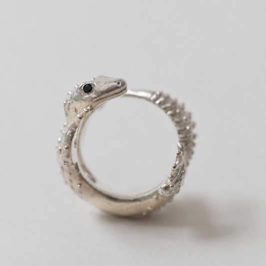 ring lizard