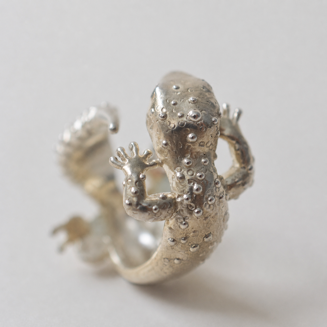 ring lizard