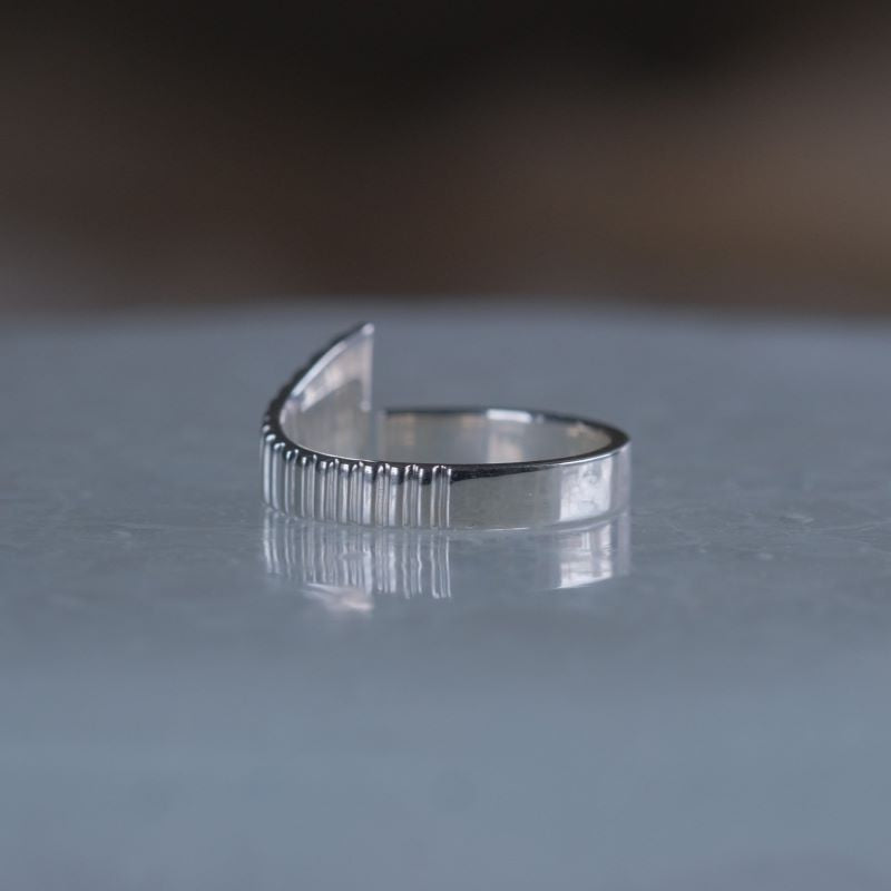 Hallgrimskirkja ring/ Mサイズ