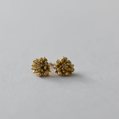ヒメツルソバピアス 