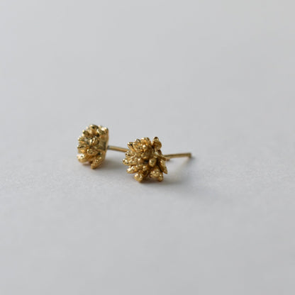 ヒメツルソバピアス 