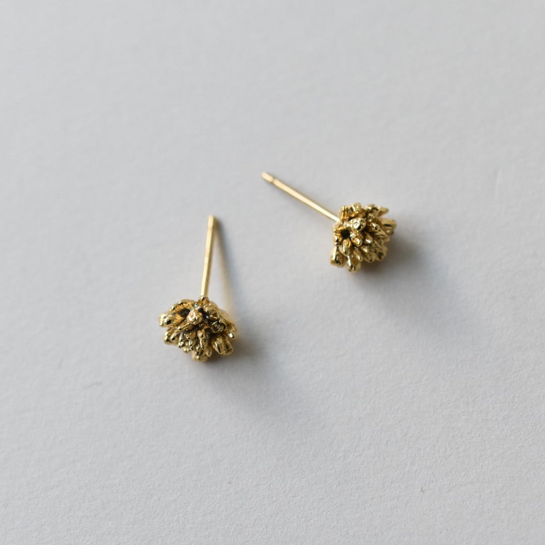 ヒメツルソバピアス 