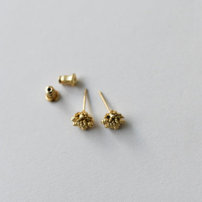 ヒメツルソバピアス 
