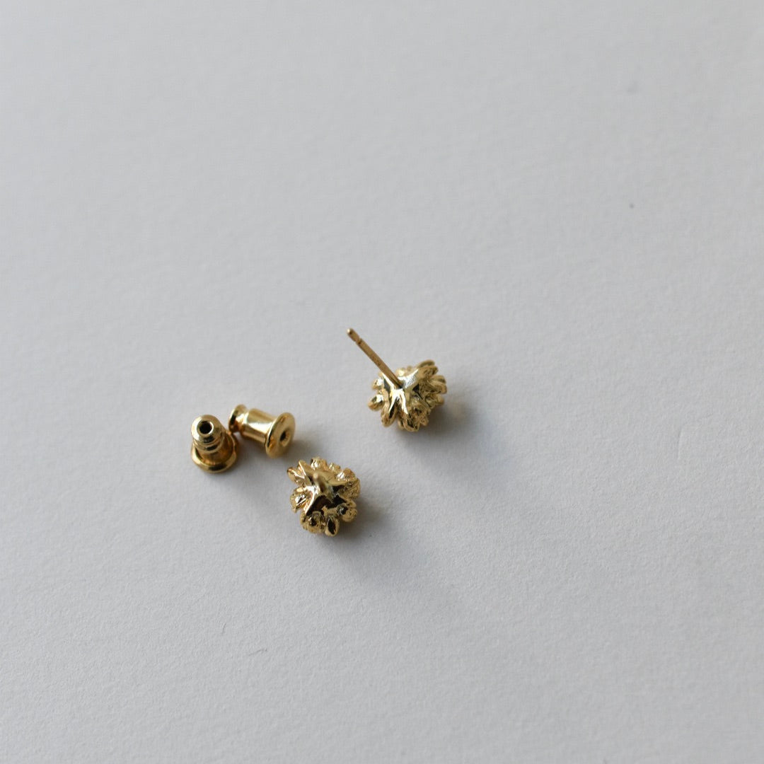 ヒメツルソバピアス 