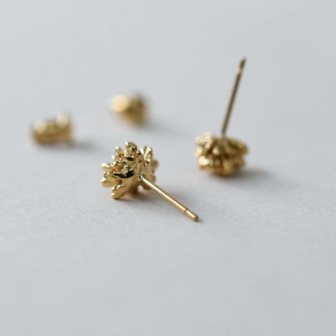 ヒメツルソバピアス 