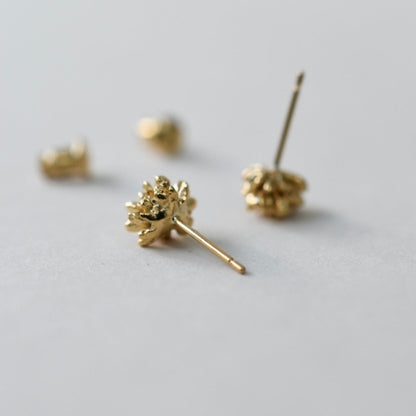 ヒメツルソバピアス 