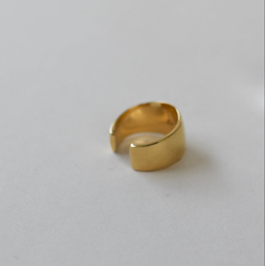 『Double』SILK Ring / Silver, Gold