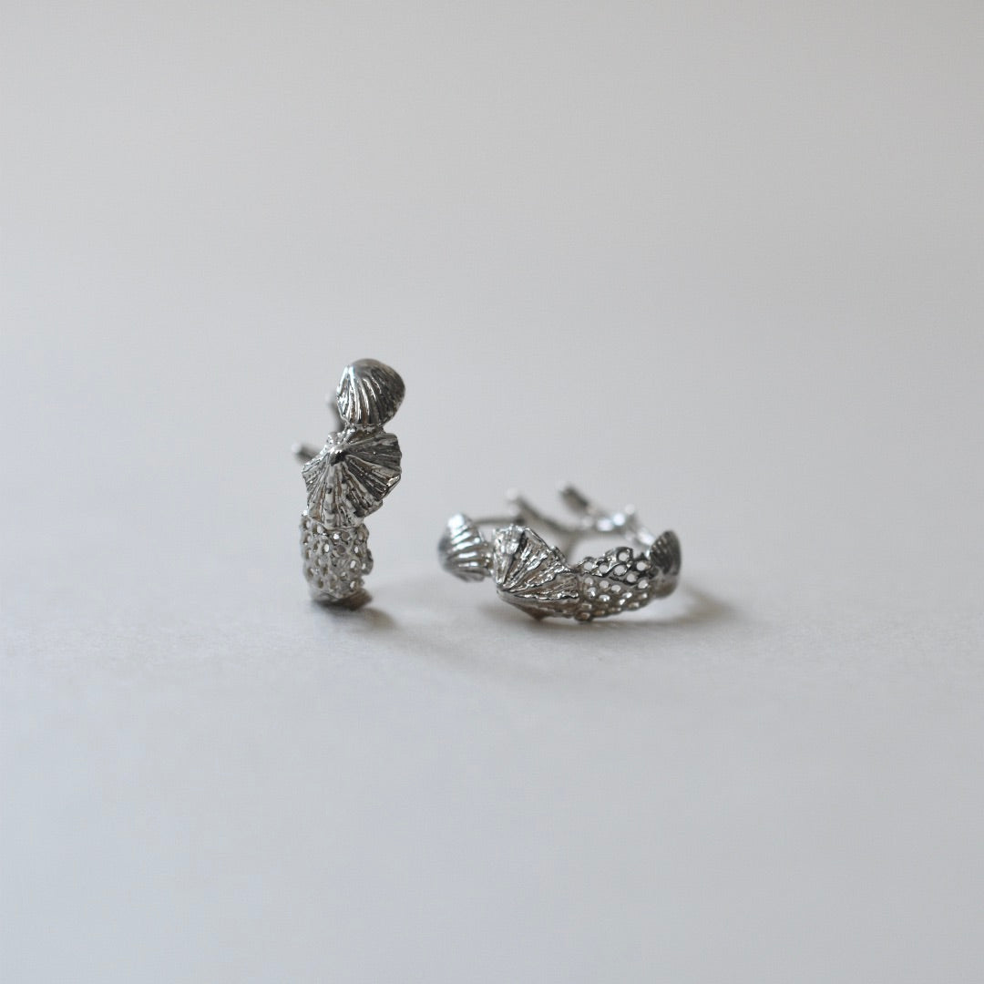 Shell Pierced Earrings Silver (both ears/pair)
