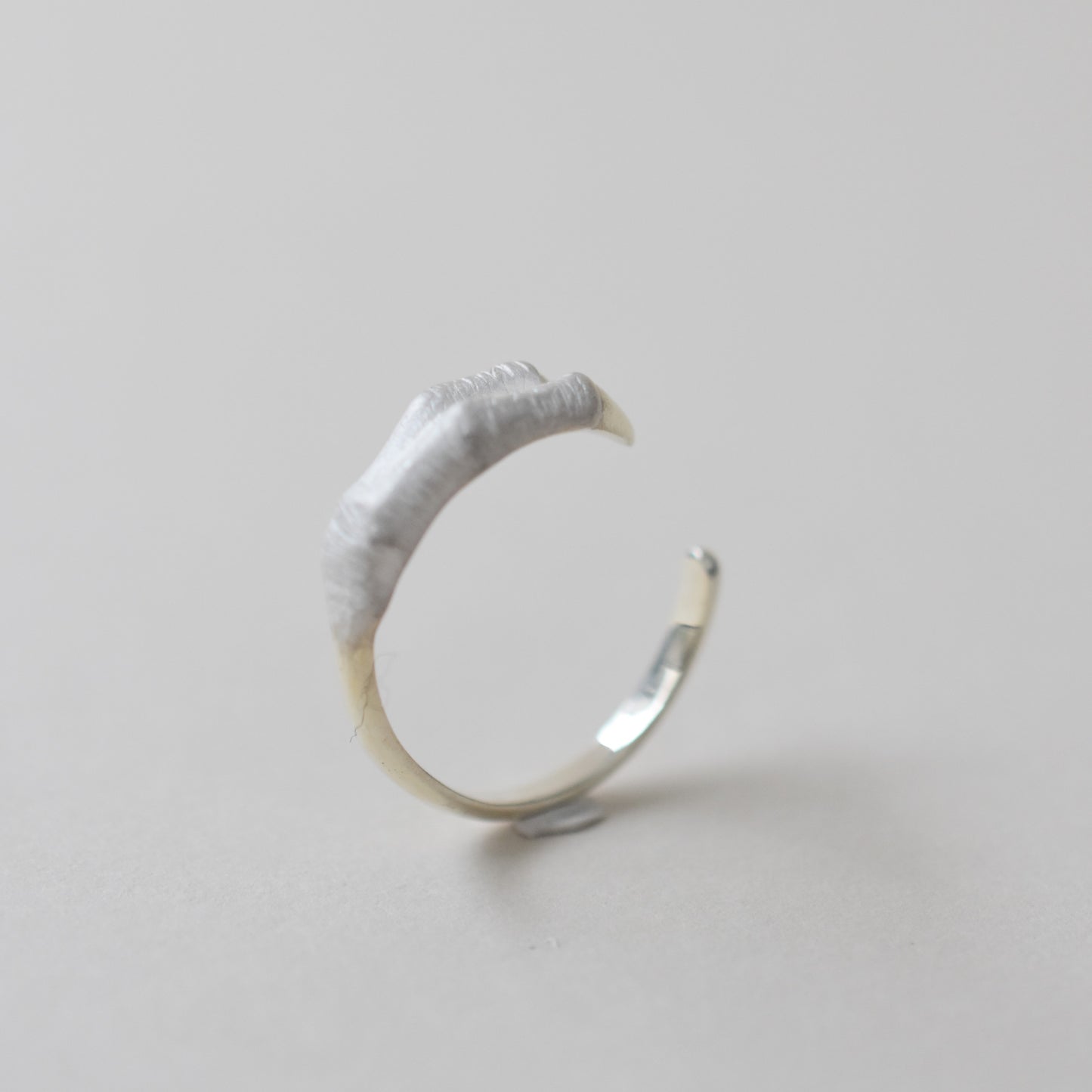 ring tyrannosaurs claw one side