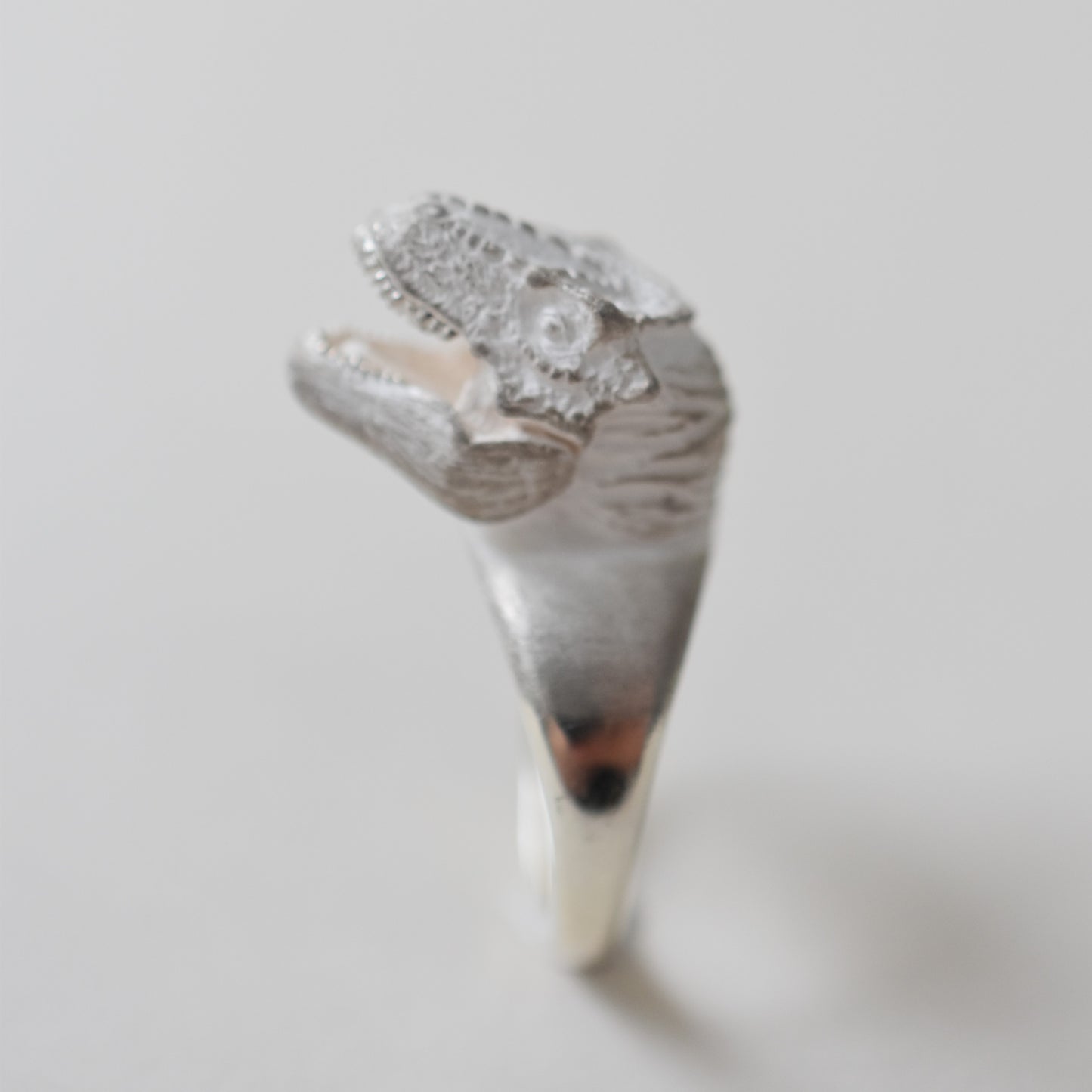 ring tyrannosaurs face