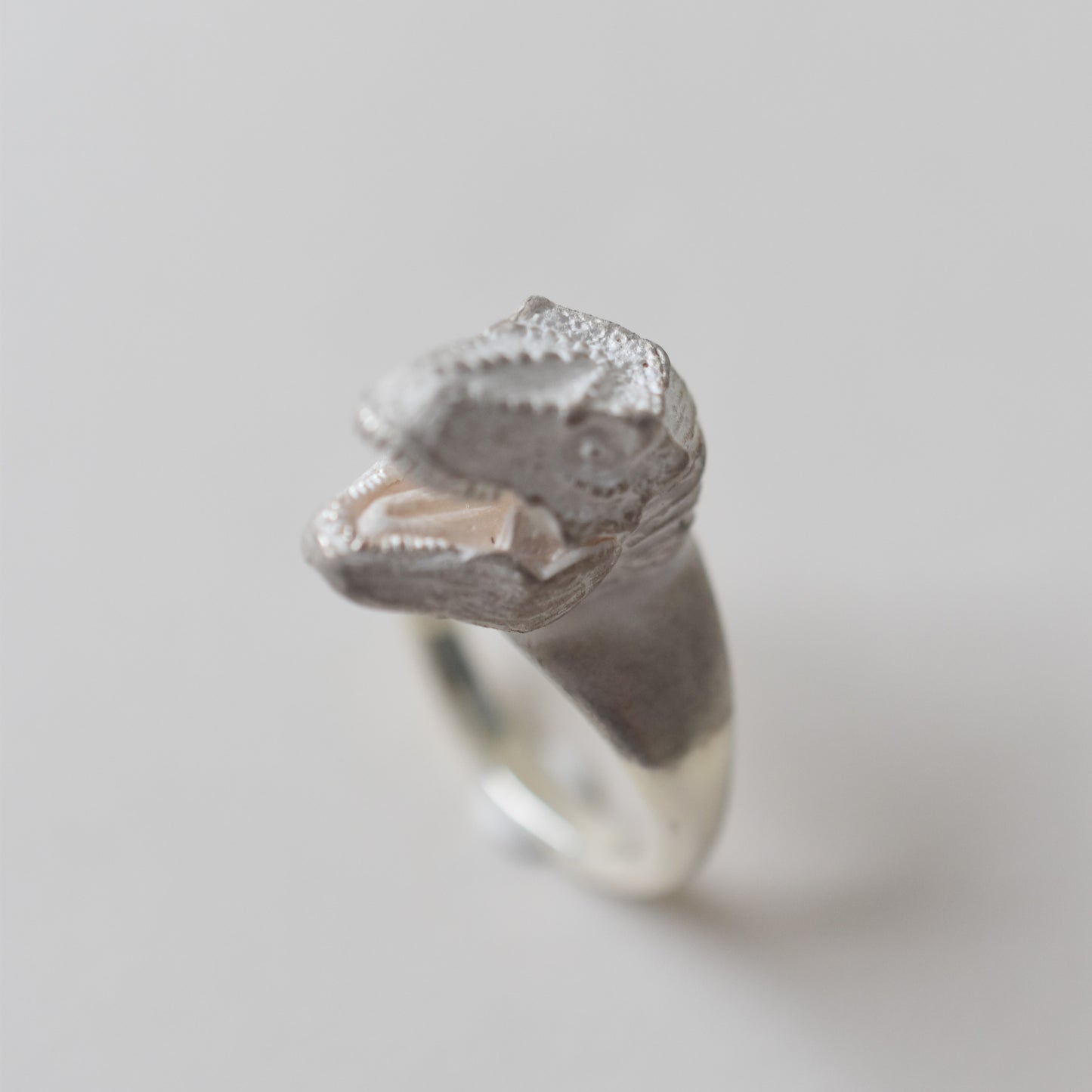 ring tyrannosaurs face