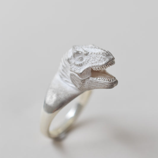 ring tyrannosaurs face