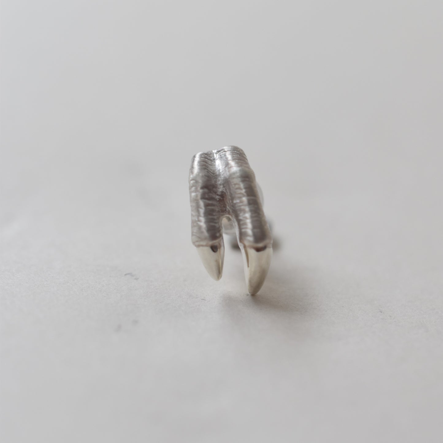 pierced earring tyrannosaurs claw