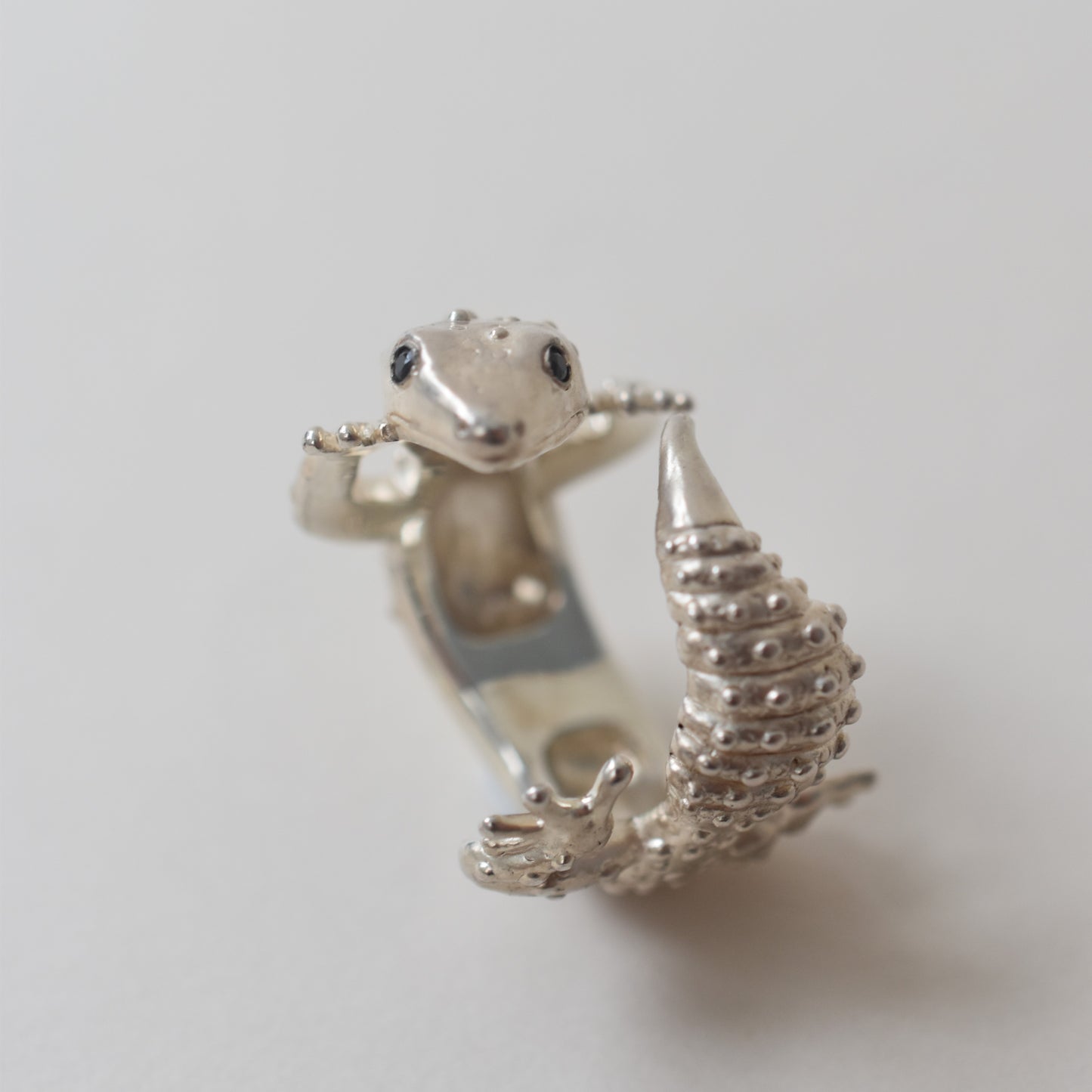 ring lizard