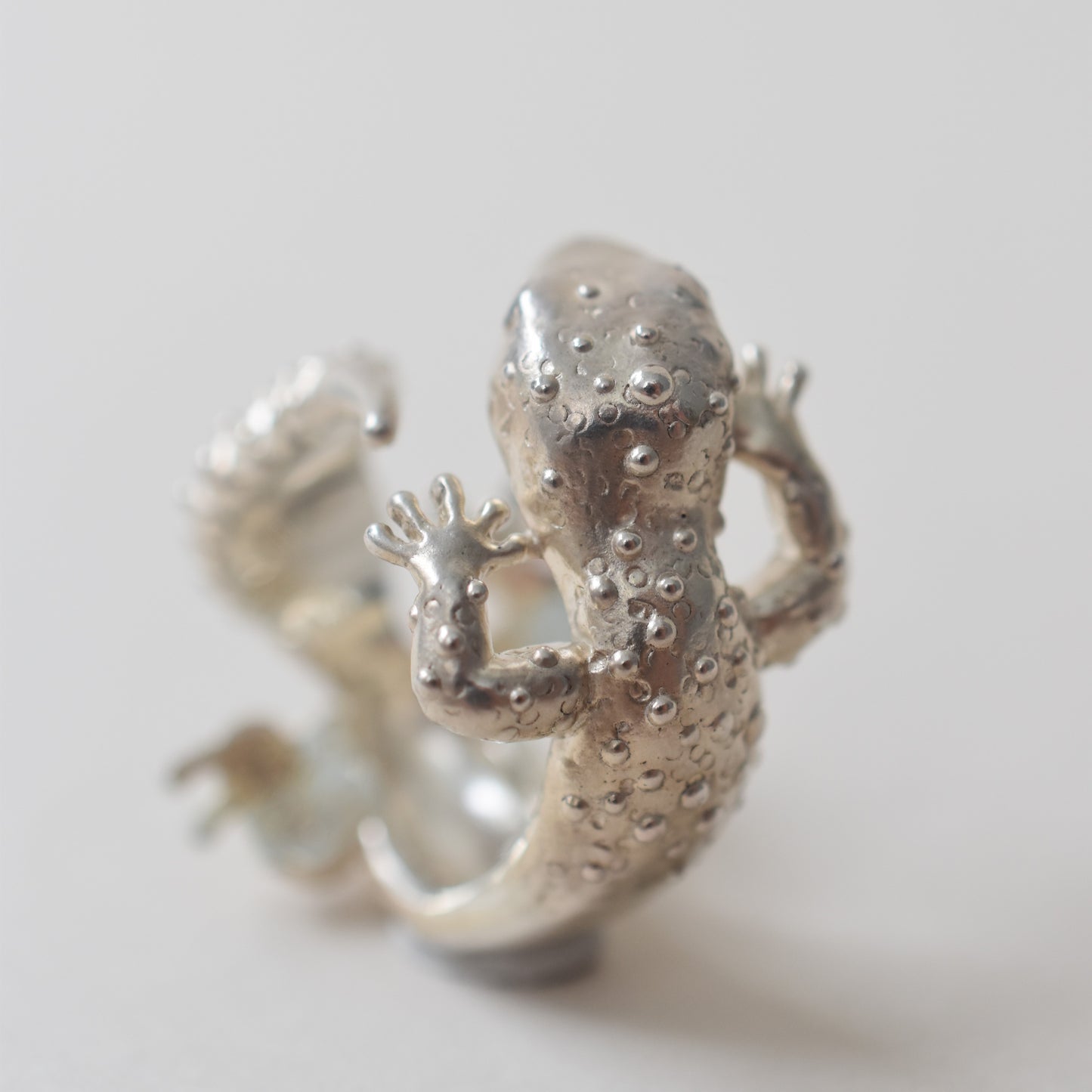 ring lizard