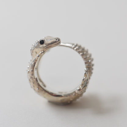 ring lizard