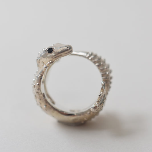ring lizard