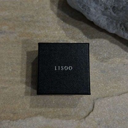 V:b01