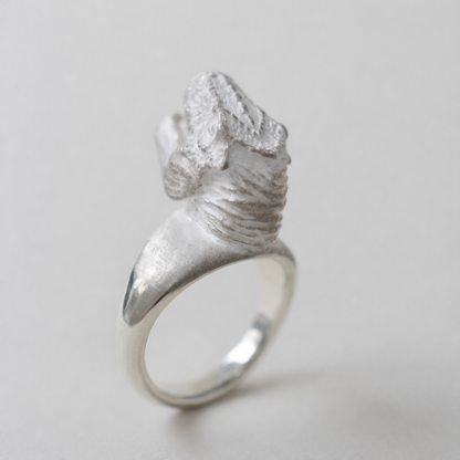 ring tyrannosaurs face