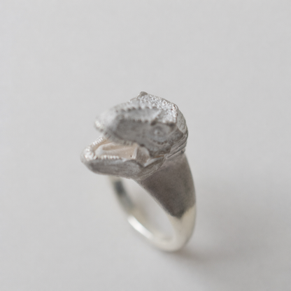 ring tyrannosaurs face