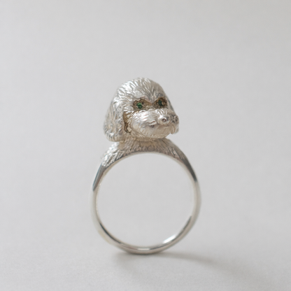 ring poodle face in the eyes