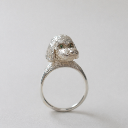 ring poodle face in the eyes