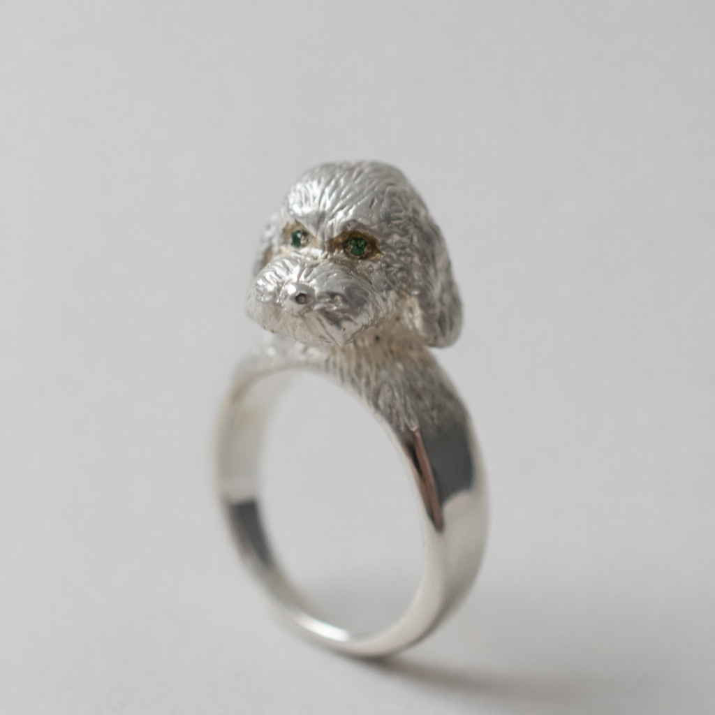 ring poodle face in the eyes