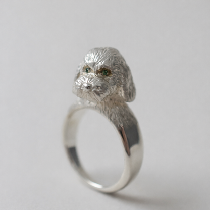 ring poodle face in the eyes
