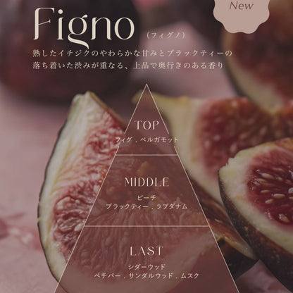 Reed diffuser - Figno（フィグノ）
